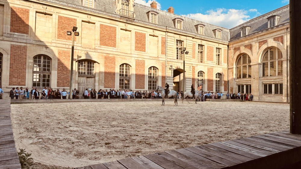 Carrière intérieure de l'Académie Équestre de Versailles - Format spectacle équestre