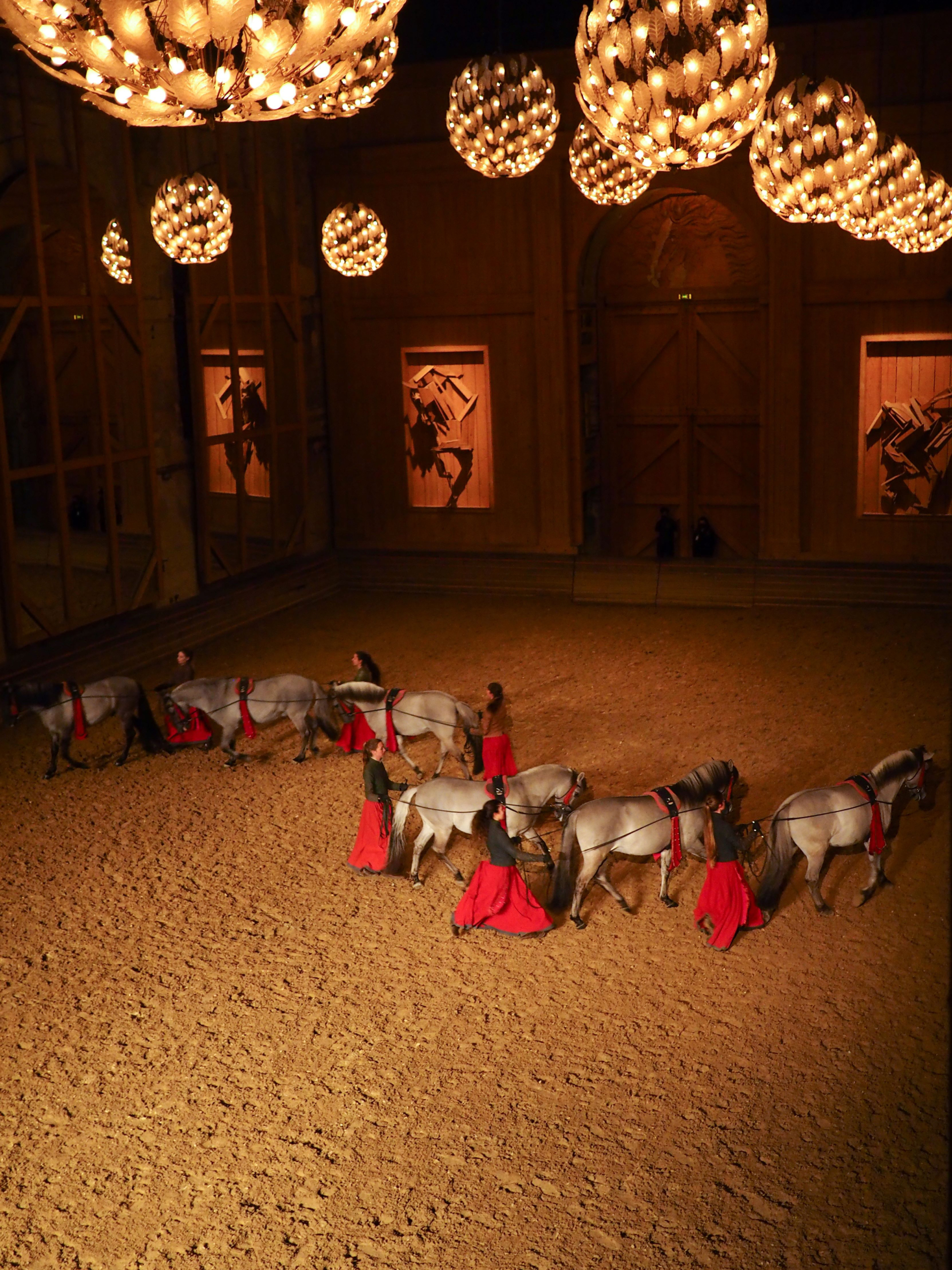 Manège de l'Académie Équestre de Versailles - Format spectacle Équestre la voie de l'écuyère 