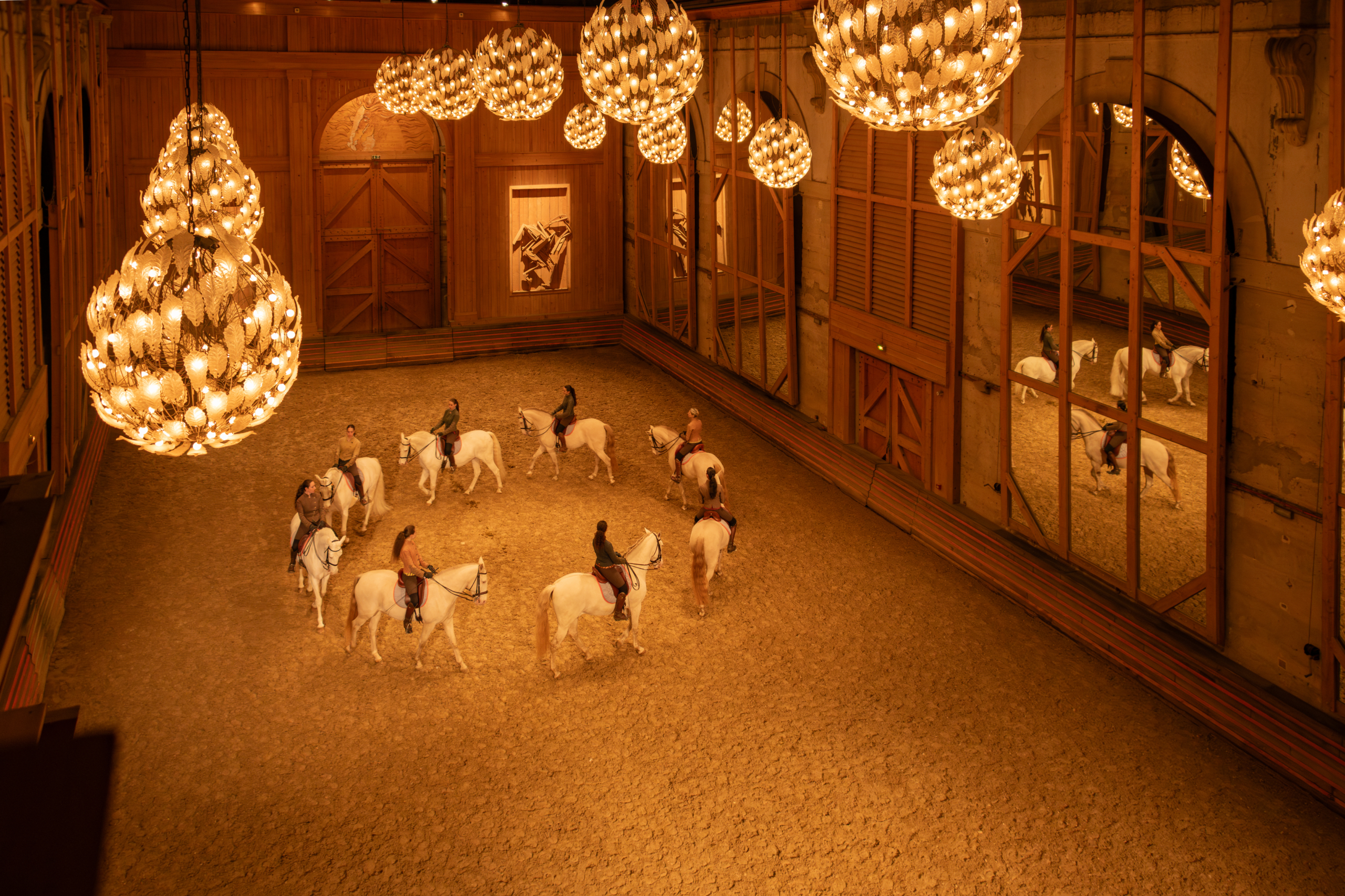 privatisation spectacle haute ecole versailles