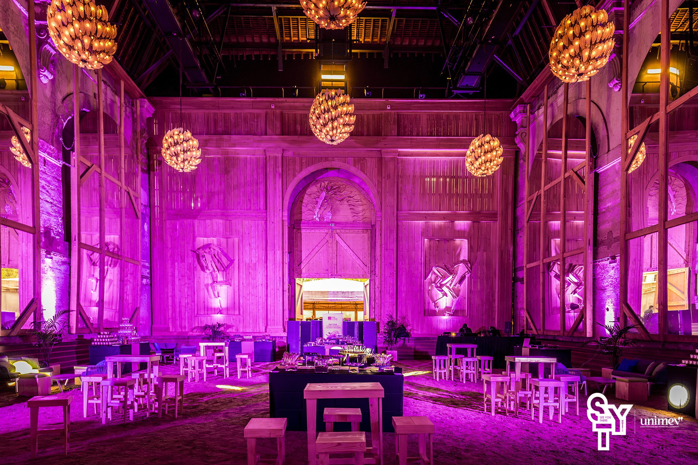 Manège de l'Académie Équestre de Versailles - format spectacle réception et lumières rose