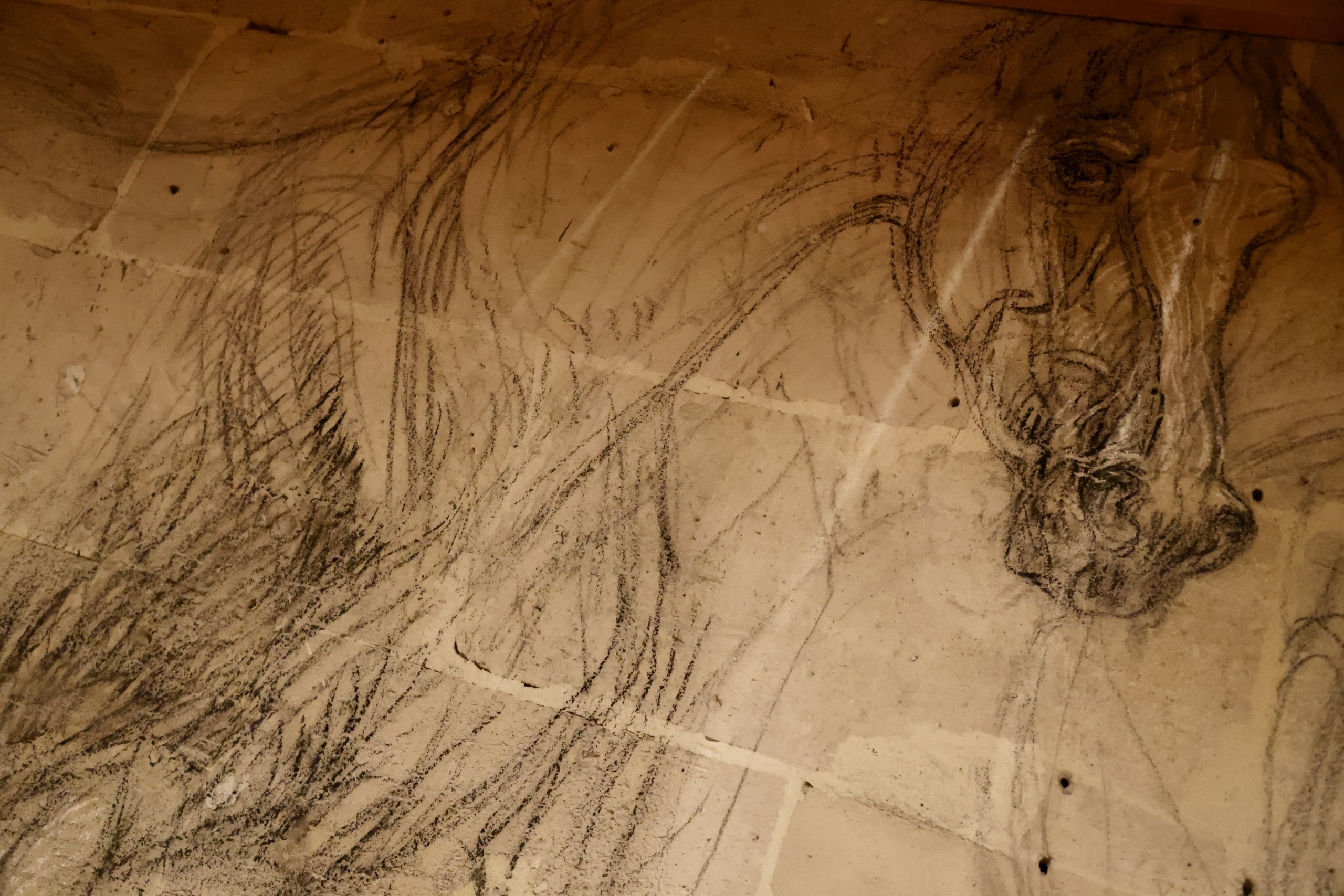 Manège de l'Académie Équestre de Versailles - détail magnifique du lieu - cheval dessiné au mur