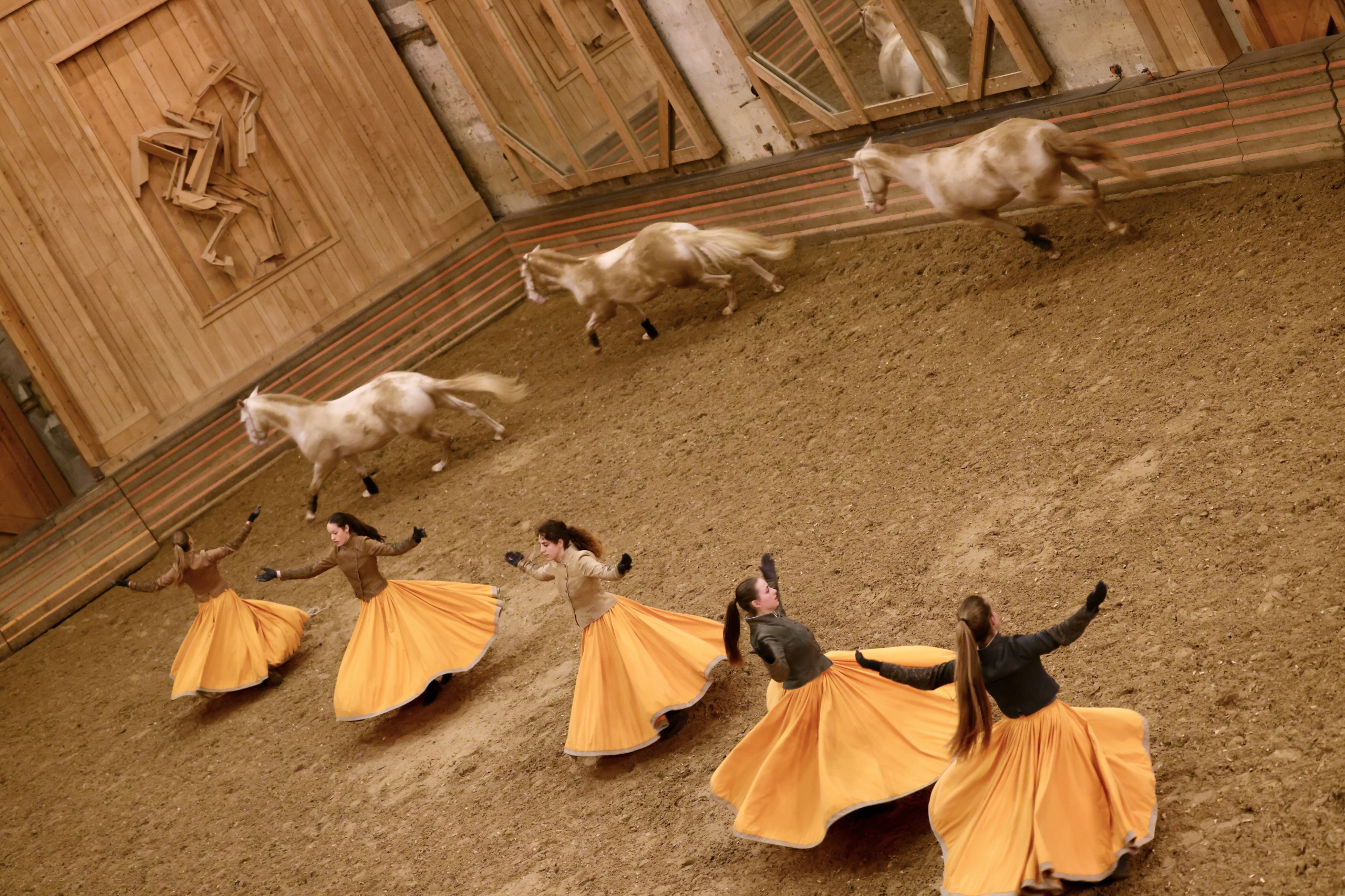 Manège de l'Académie Équestre de Versailles - Format spectacle Équestre la voie de l'écuyère, chevaux qui court