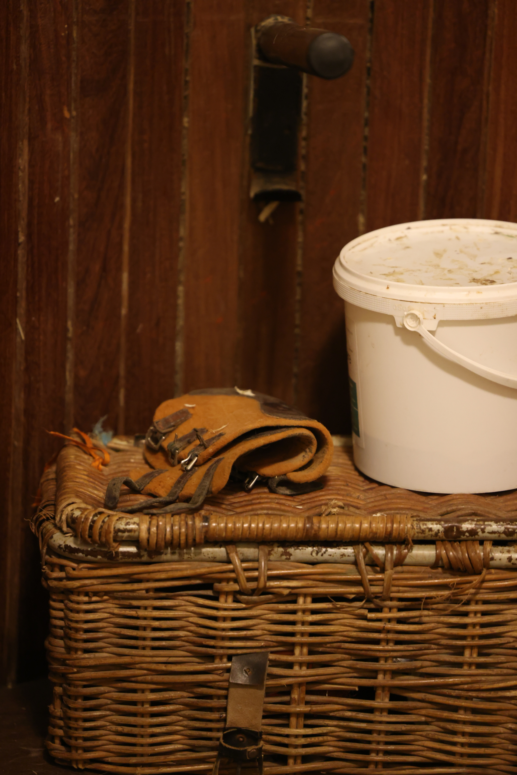 Écurie de l'Académie Équestre de Versailles - détails