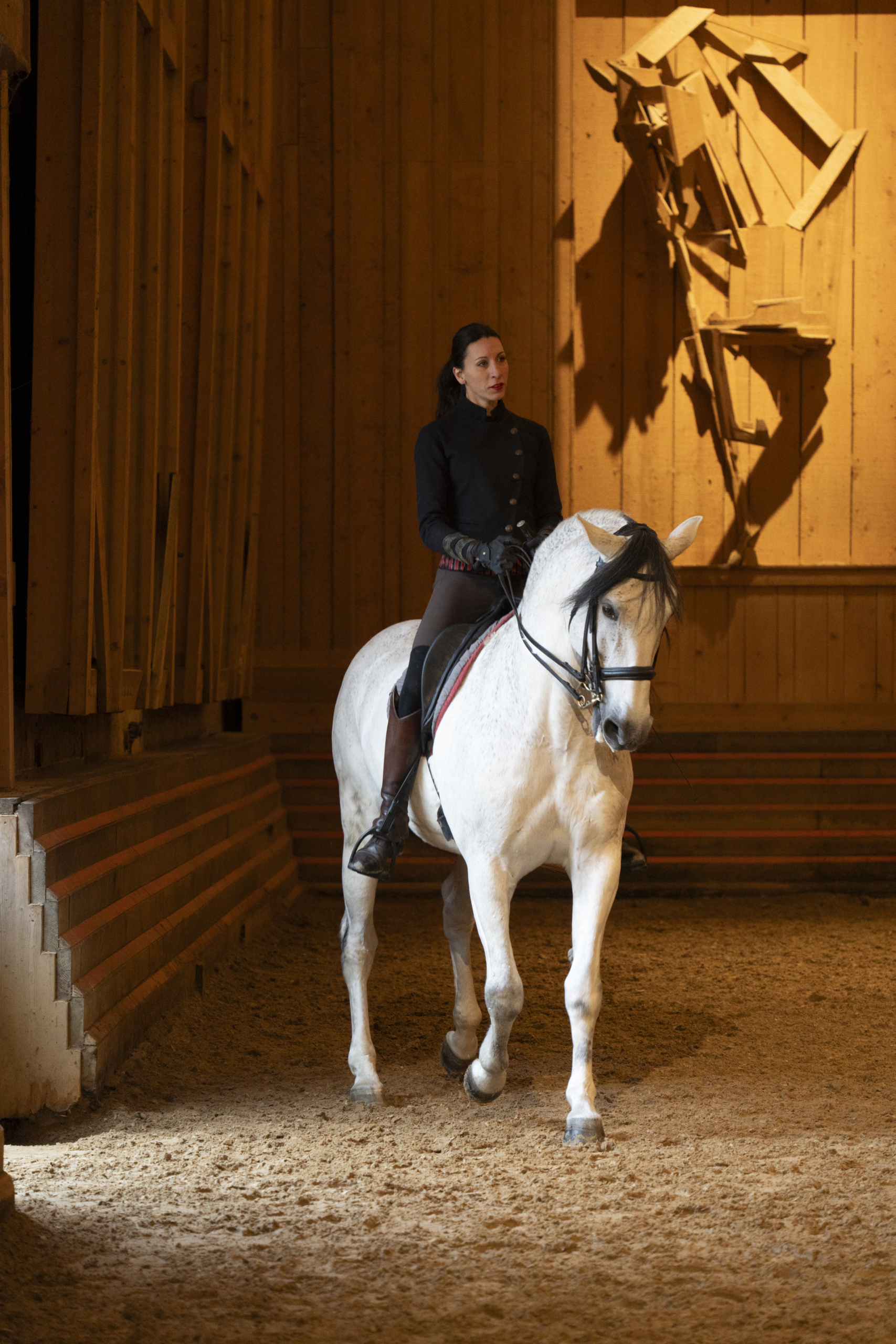 Manège de l'Académie Équestre de Versailles - Format spectacle Équestre la voie de l'écuyère 