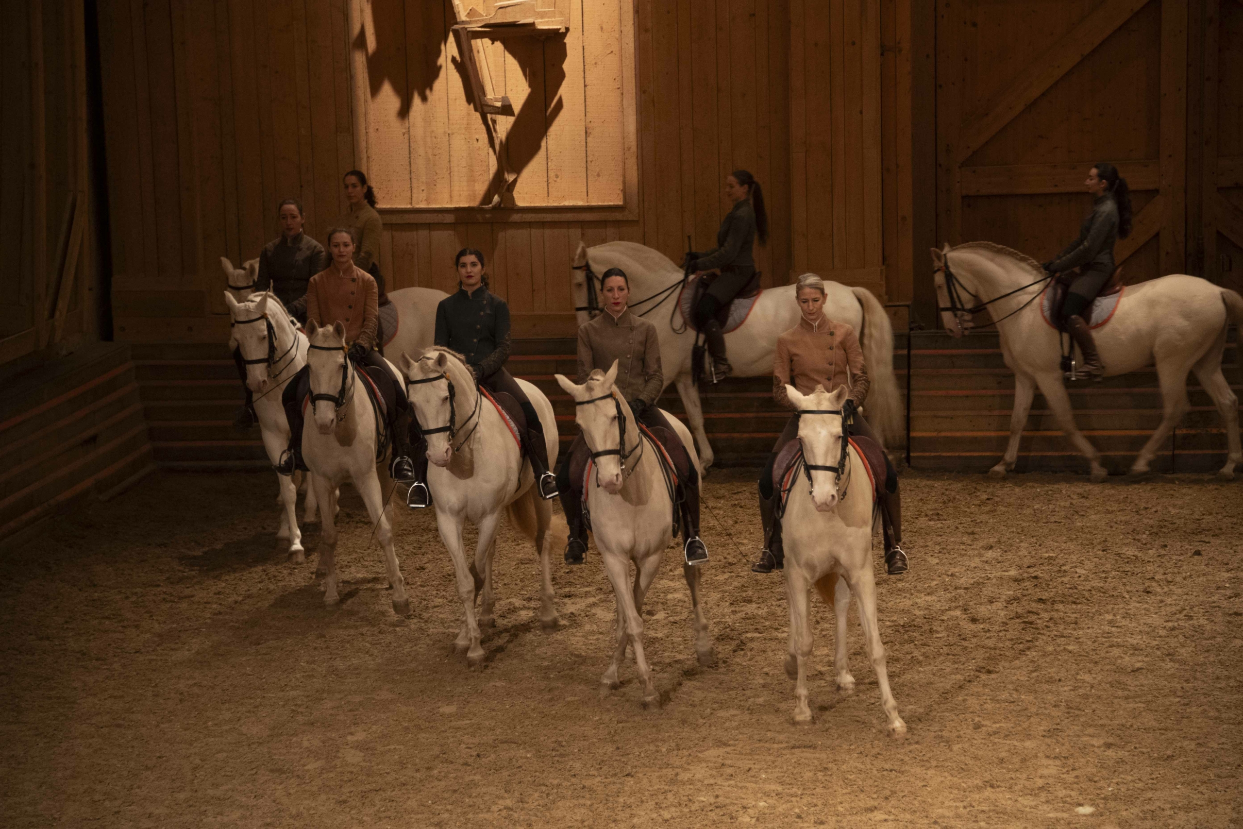 Manège de l'Académie Équestre de Versailles - Format spectacle Équestre la voie de l'écuyère 