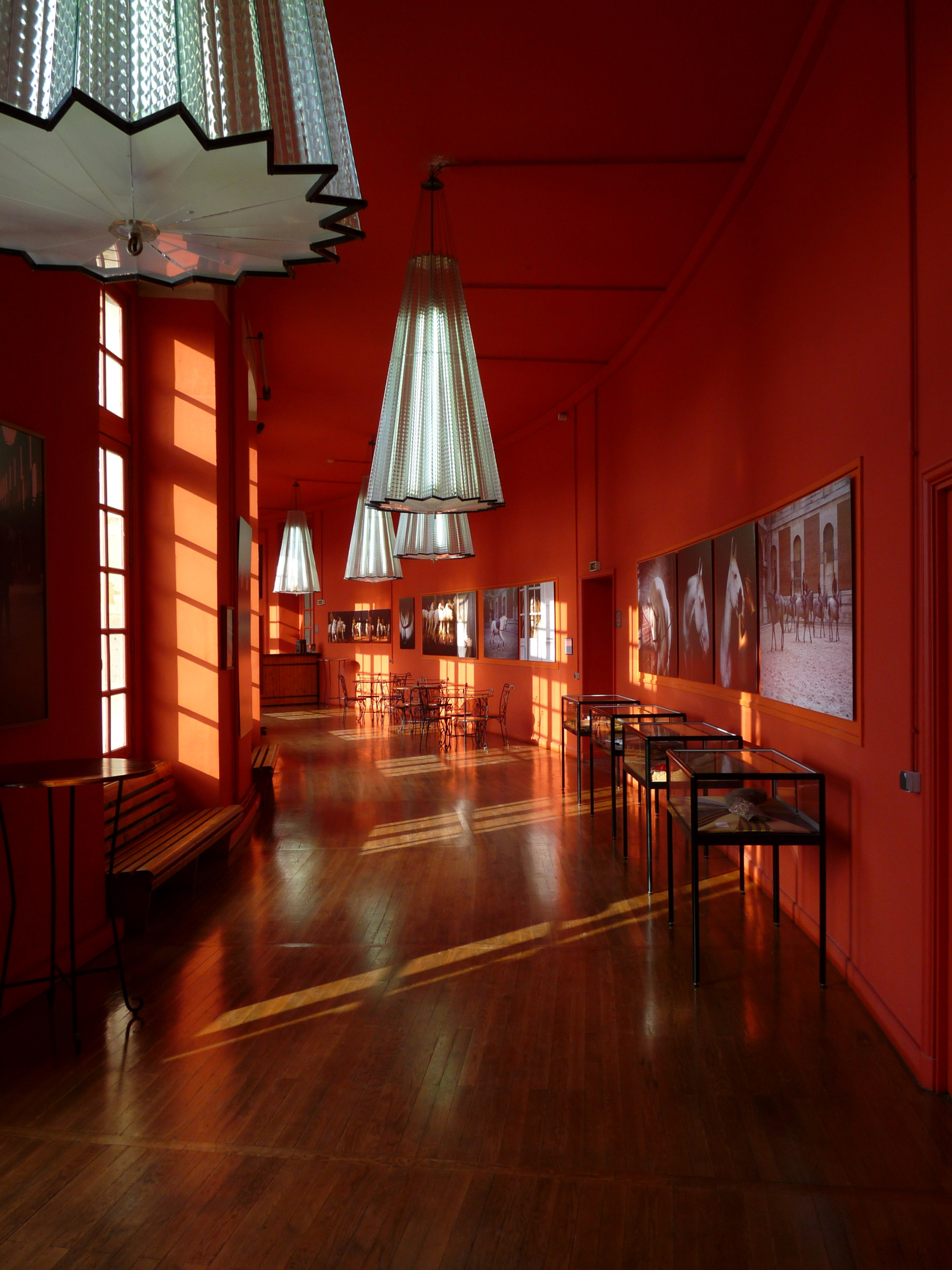 Manège de l'Académie Équestre de Versailles - coucher de soleil avec vue sur le château de versailles