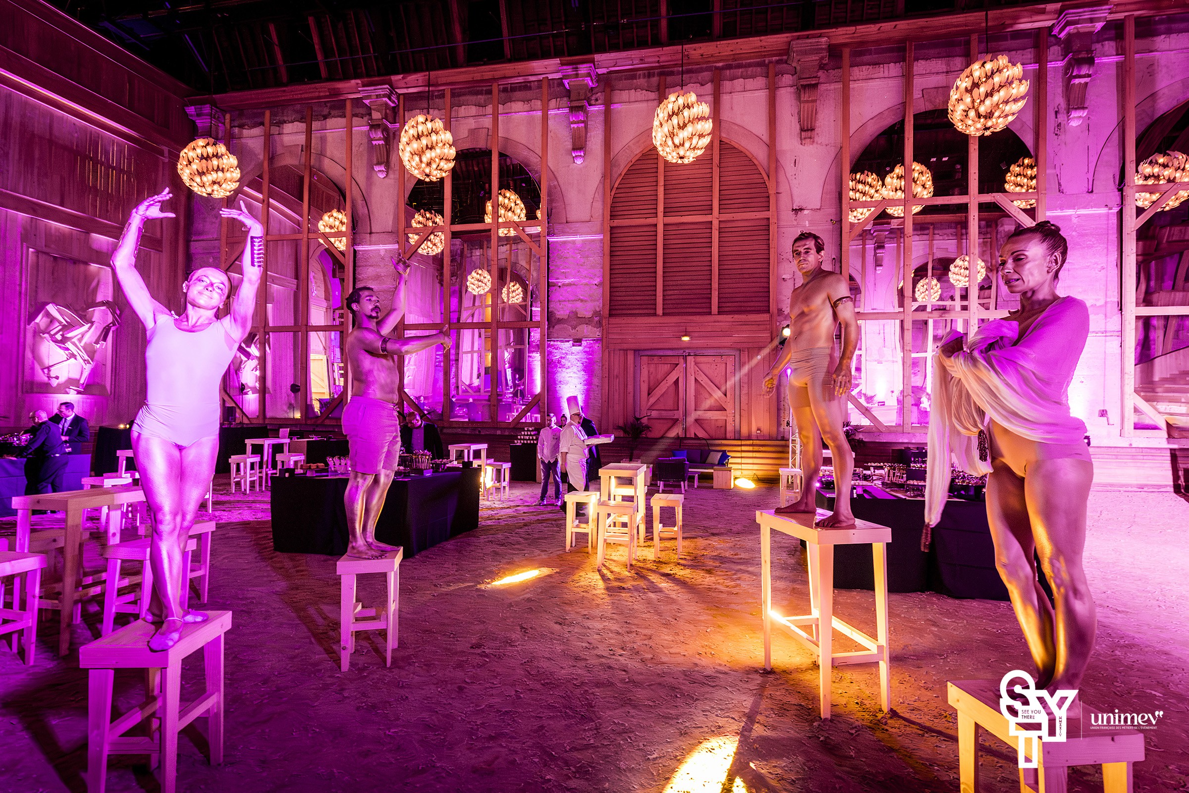 Manège de l'Académie Équestre de Versailles - format spectacle prestigieux