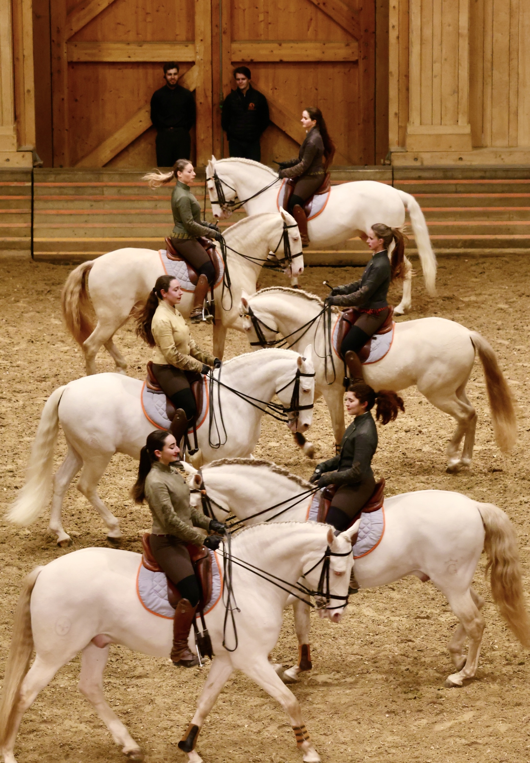 Manège de l'Académie Équestre de Versailles - Format spectacle Équestre la voie de l'écuyère chevaux