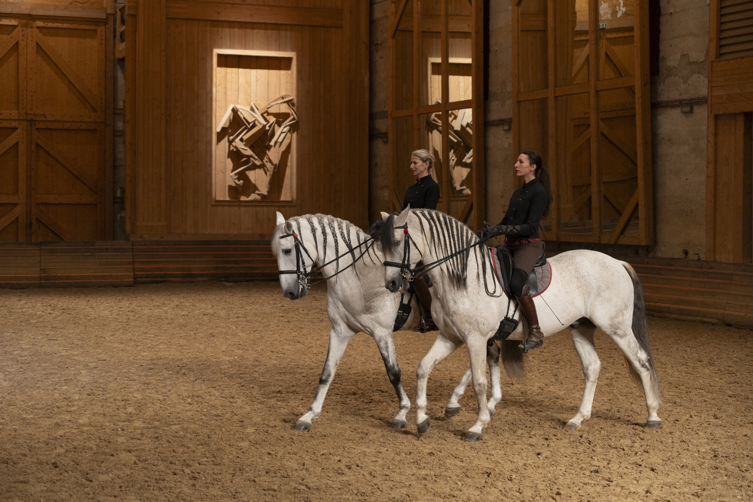 Manège de l'Académie Équestre de Versailles - Format spectacle Équestre "La voie de l'écuyère" avec des chevaux